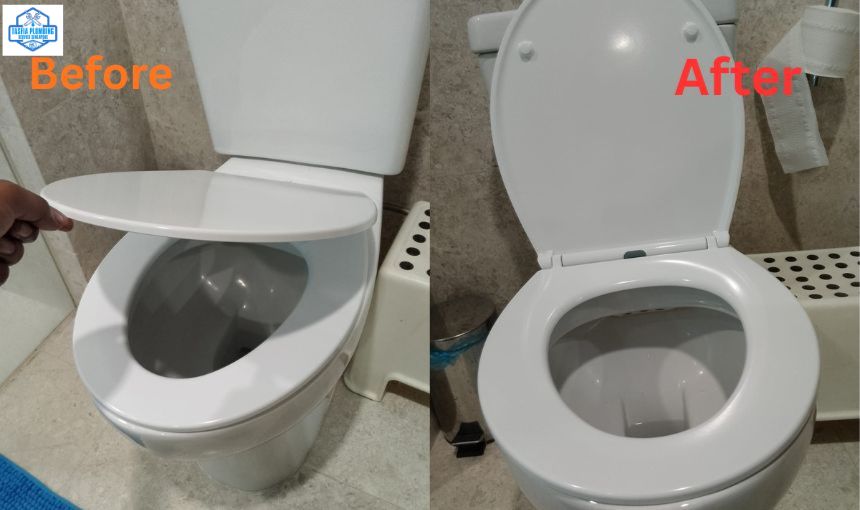 Admin/Blog/Details/Toilet Seat Replacement Singapore.jpg